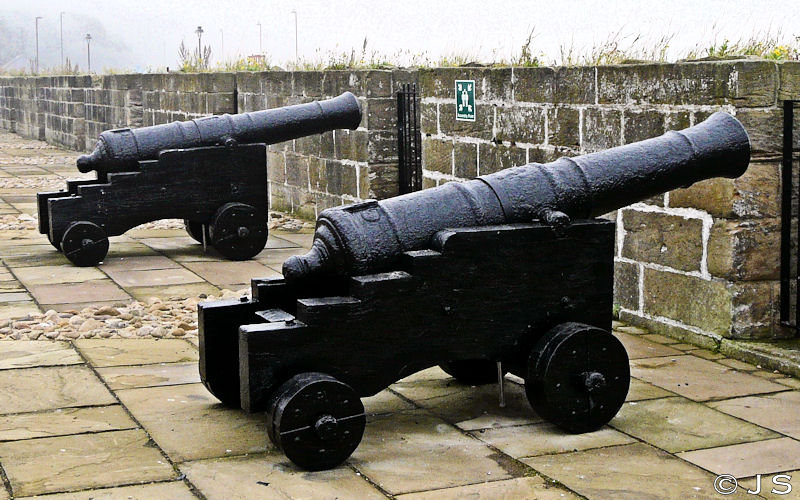 Clifford's Fort Cannons