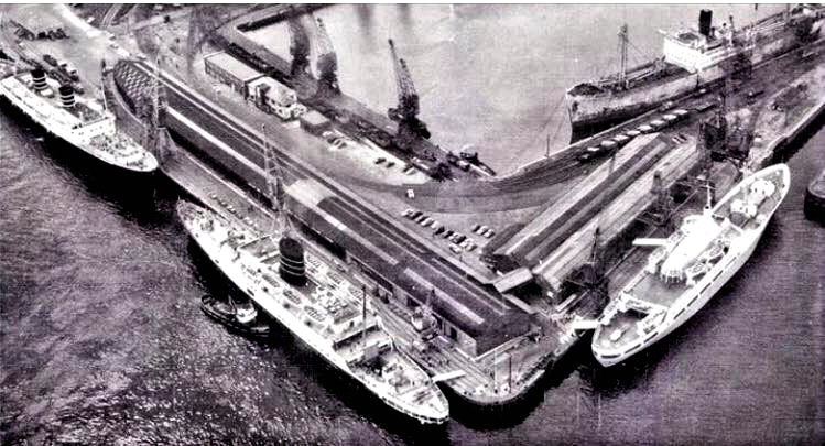 Venus , Leda & Braemar