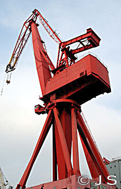 Swan cranes 2005