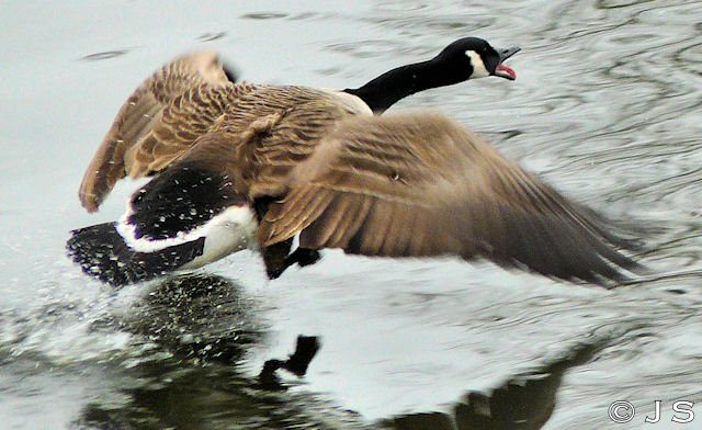 Take ou out on someone else