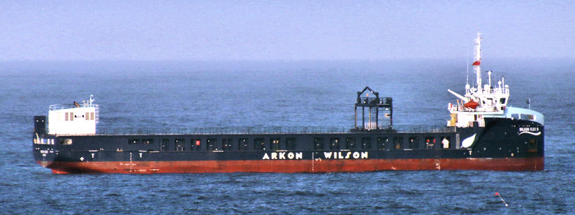 Wilson Flex III