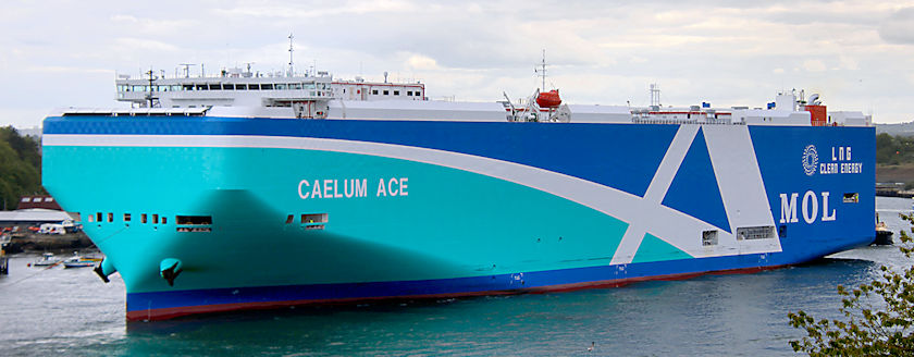Caelum Ace