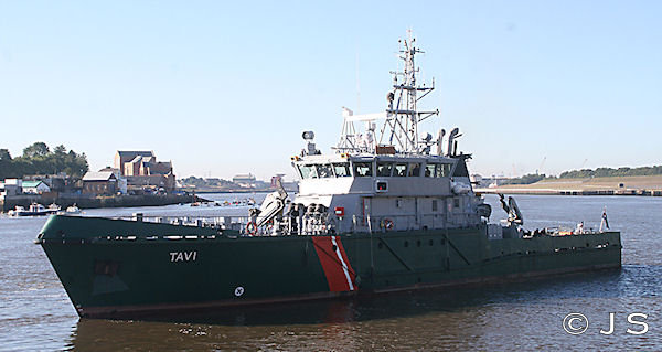 Tavi